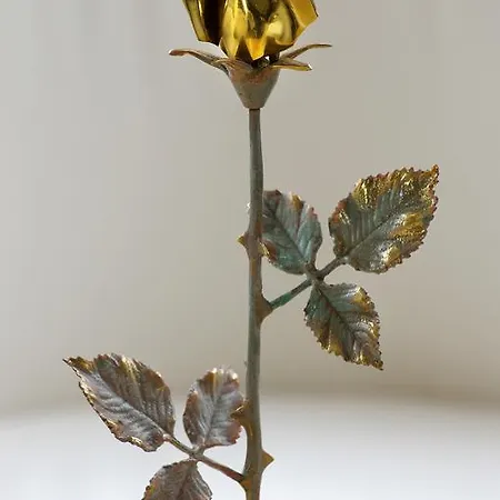 Doro 호텔 부르가스